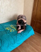 Анкета проститутки Алиса - метро Южнопортовый, возраст - 30